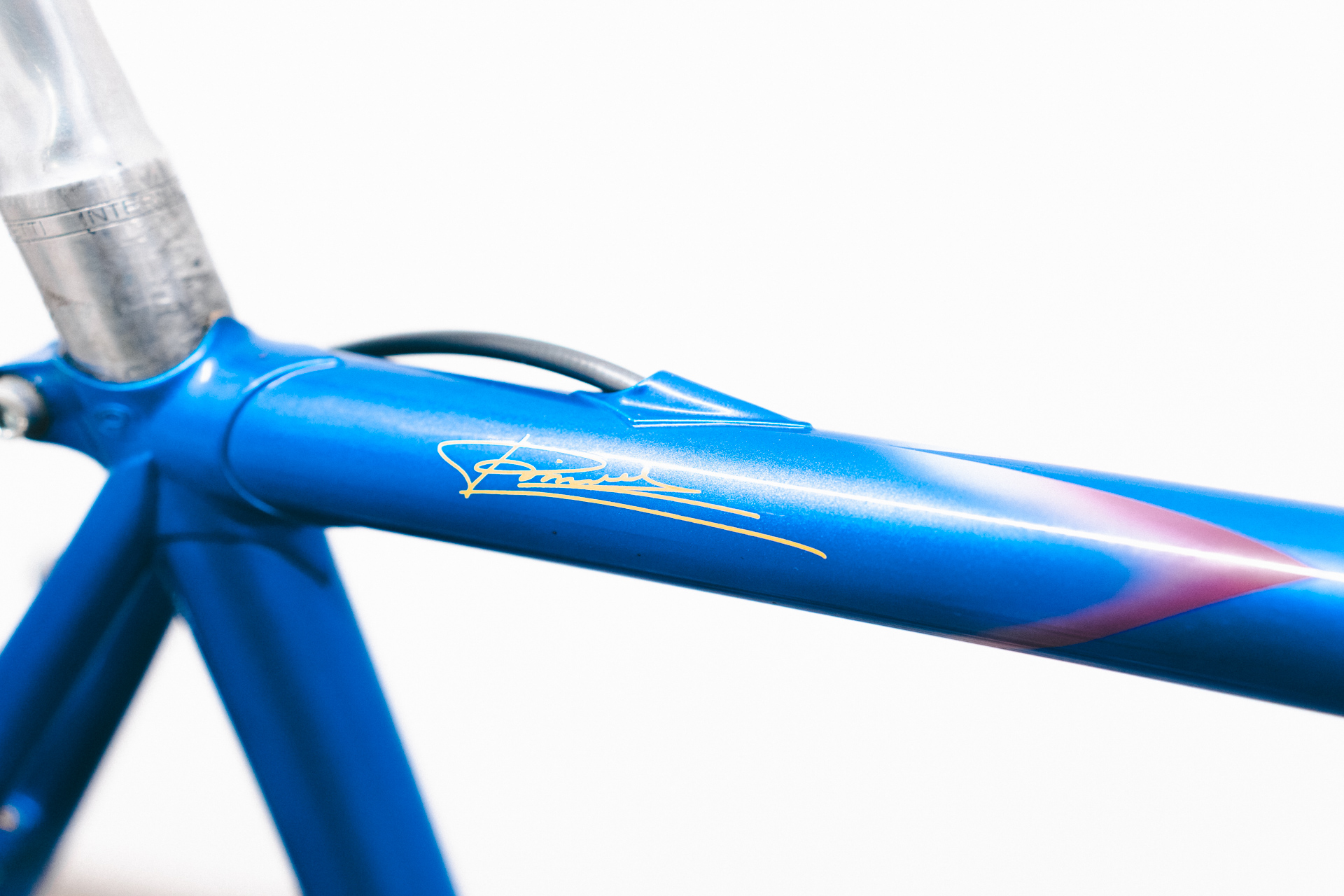 Pinarello Stelvio Detail